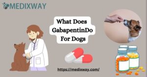 What Does GabapentinDo For Dogs
