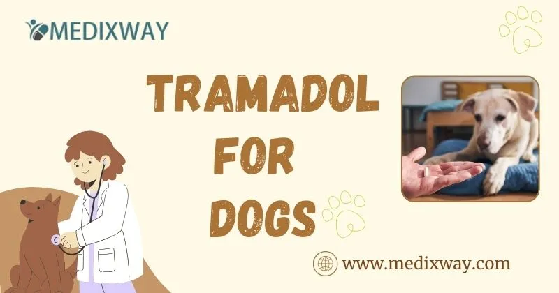 Tramadol For Dogs