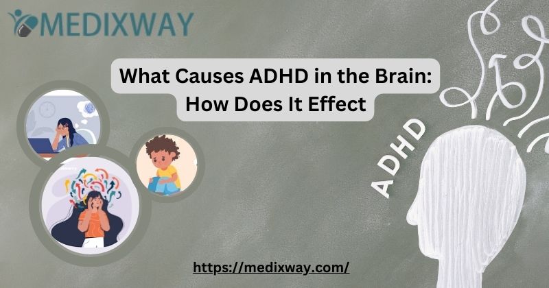 What Causes ADHD in the Brain