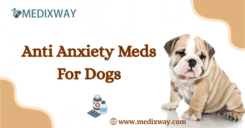 anti anxiety meds for dogs